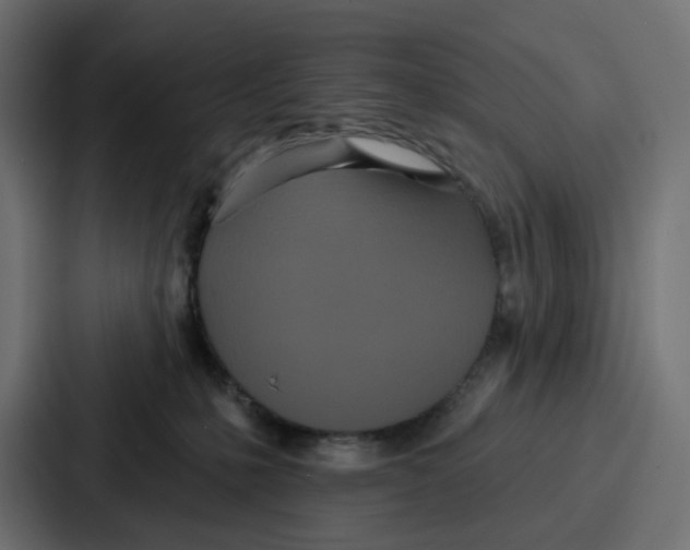 X0000086750231200705111701