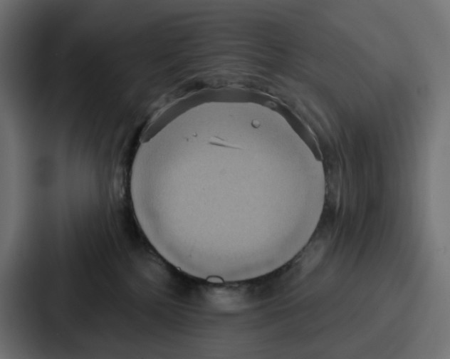 X0000086750232200705111701