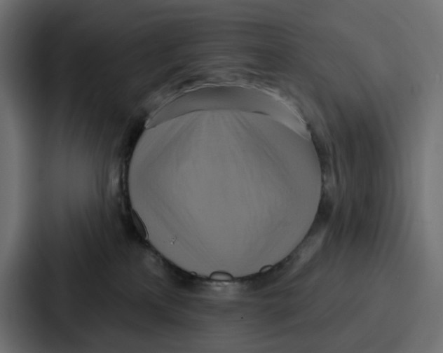 X0000086750233200705111701