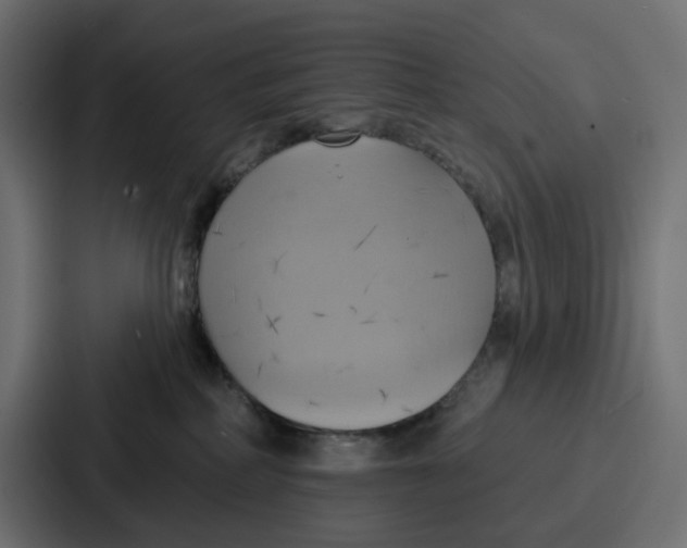 X0000086750234200705111701