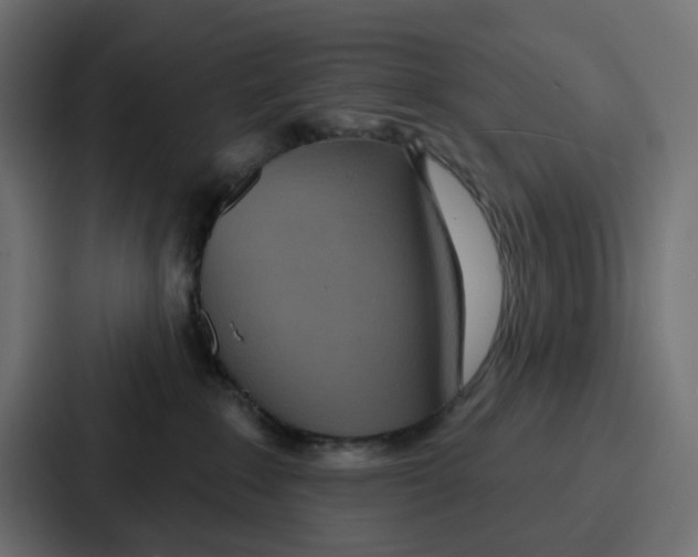 X0000086750235200705111701