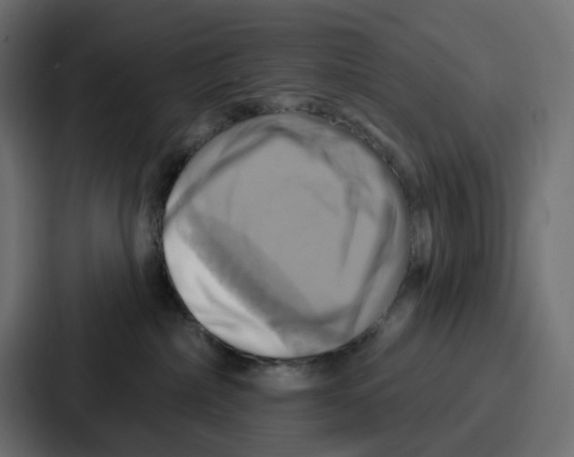 X0000086750236200705111701