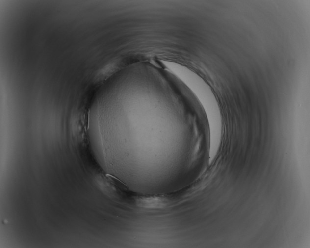 X0000086750237200705111701