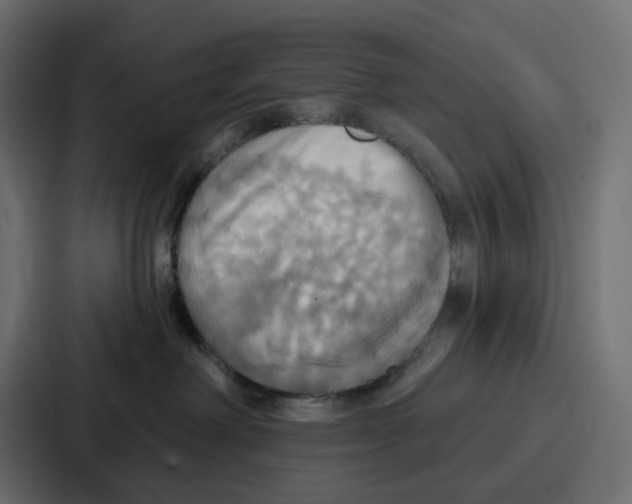 X0000086750238200705111701