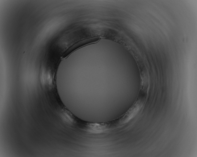 X0000086750239200705111701