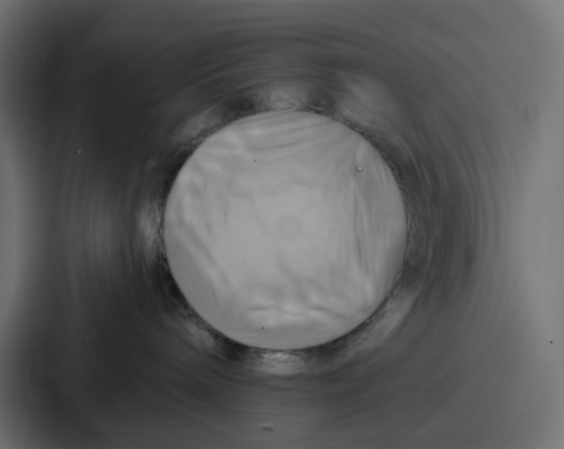 X0000086750240200705111701