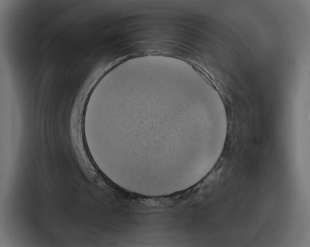 X0000086750241200705111700