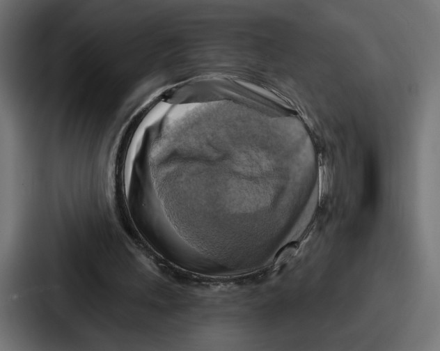 X0000086750243200705111701
