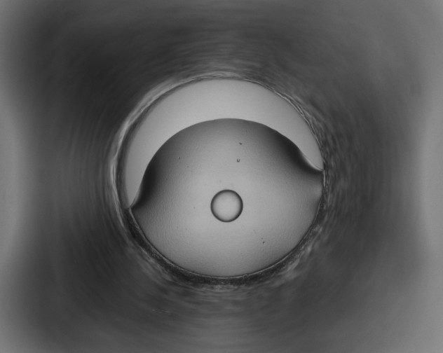 X0000086750244200705111701