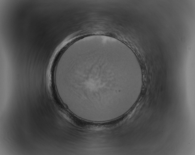X0000086750246200705111701