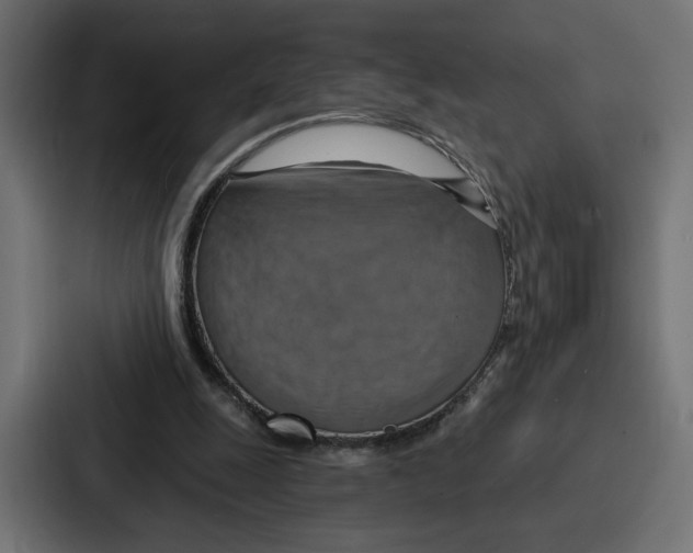 X0000086750247200705111701