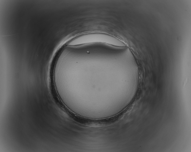 X0000086750248200705111701