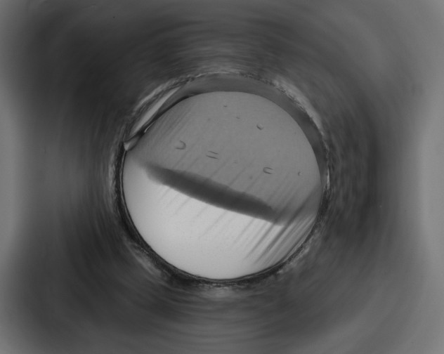 X0000086750249200705111701