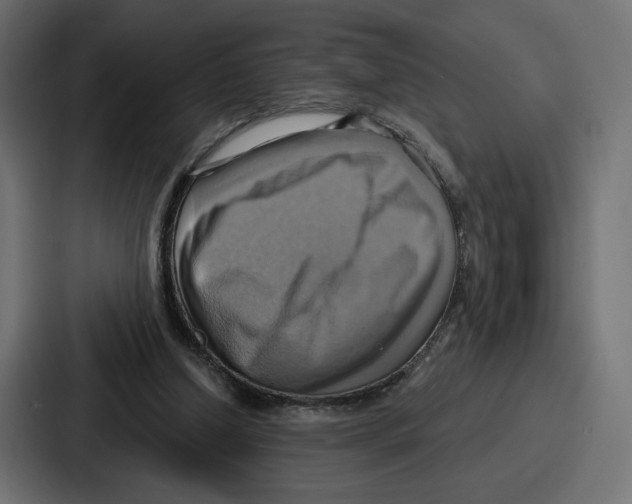 X0000086750250200705111701