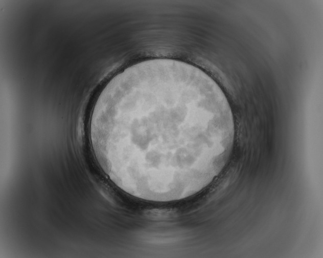 X0000086750251200705111701