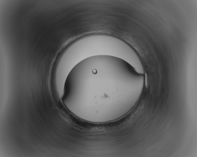 X0000086750252200705111701