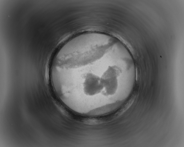 X0000086750253200705111701