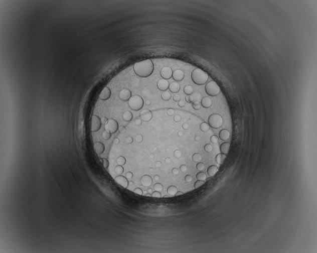 X0000086750254200705111701