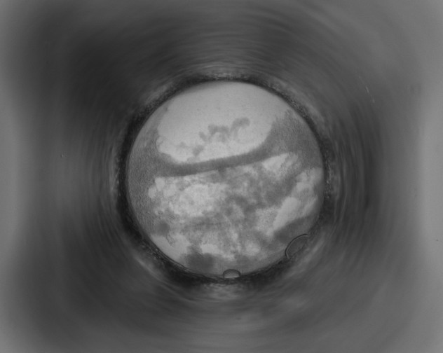 X0000086750255200705111701