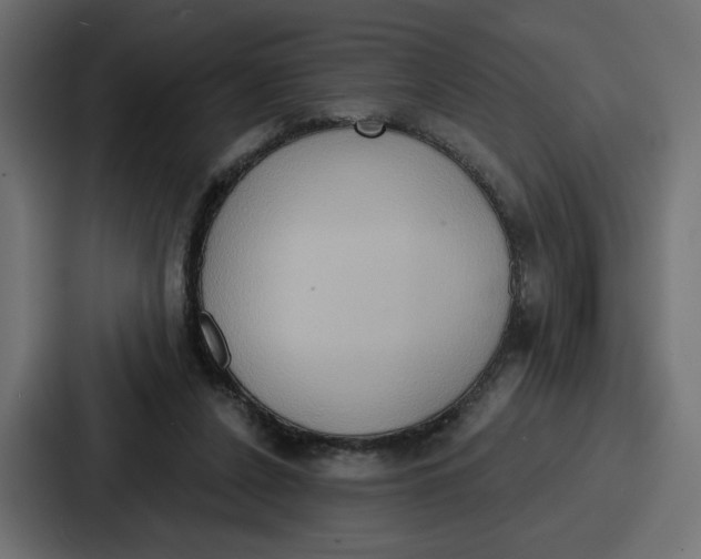 X0000086750256200705111701