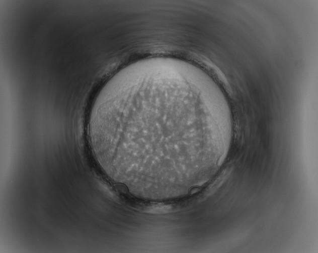 X0000086750257200705111701