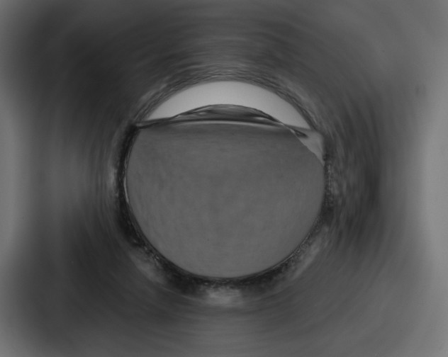 X0000086750258200705111701