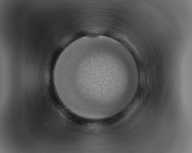 X0000086750259200705111701