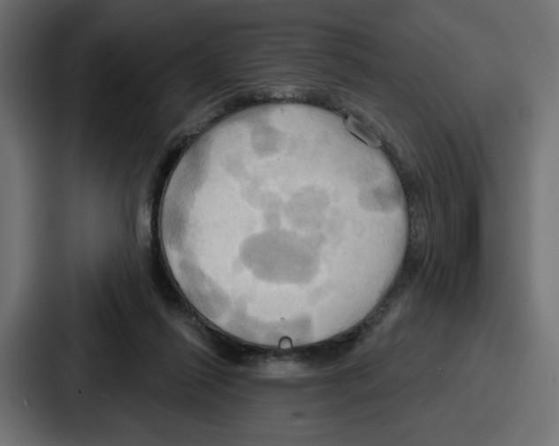 X0000086750262200705111701