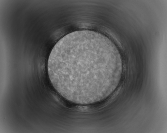 X0000086750265200705111701