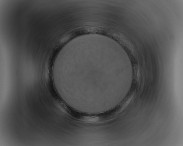 X0000086750266200705111701