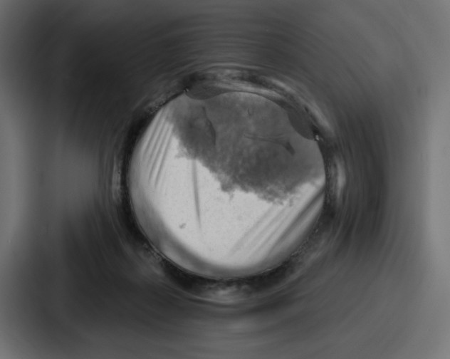X0000086750267200705111701