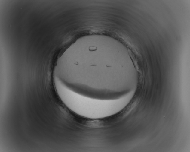 X0000086750269200705111701