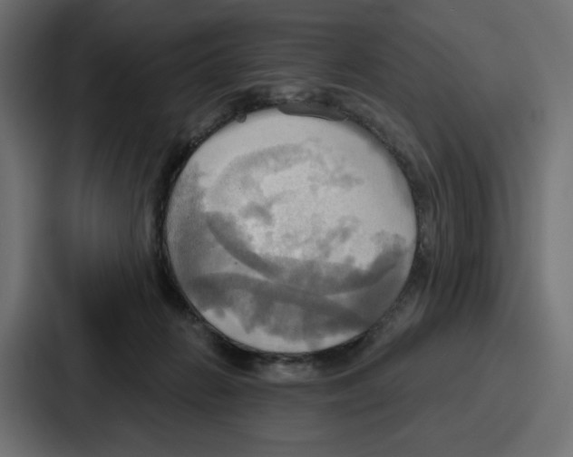 X0000086750270200705111701