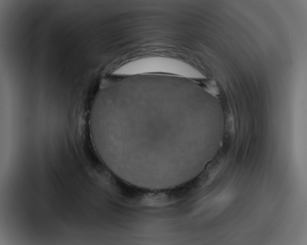 X0000086750271200705111701