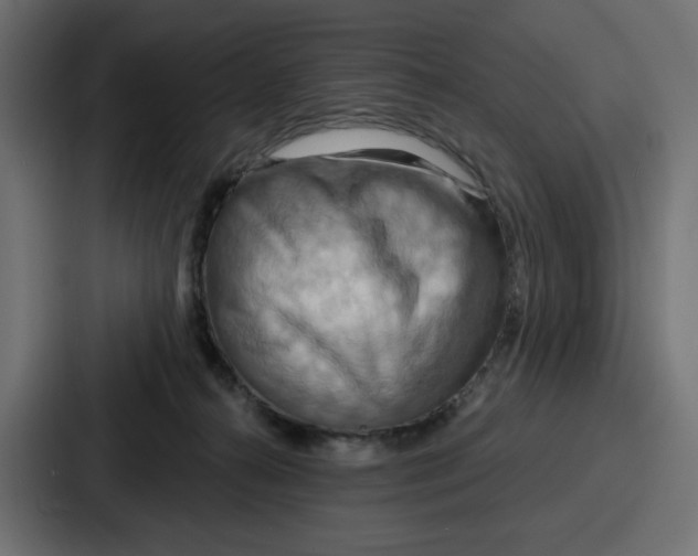 X0000086750272200705111701