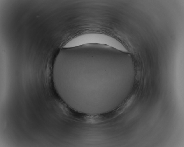 X0000086750273200705111701