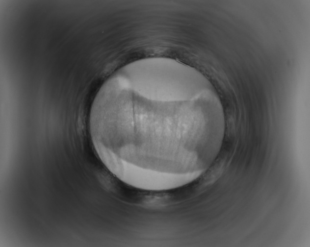 X0000086750274200705111701