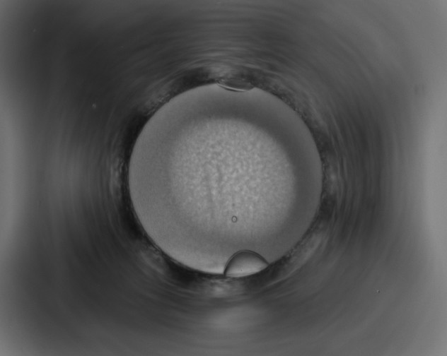 X0000086750275200705111701