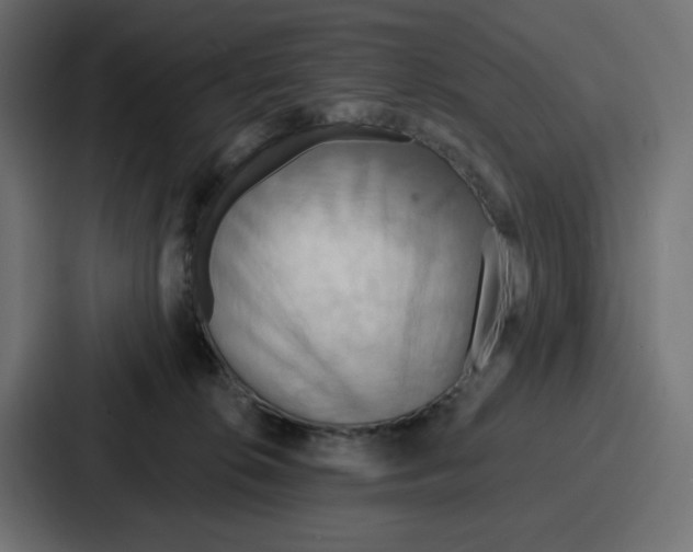 X0000086750276200705111701