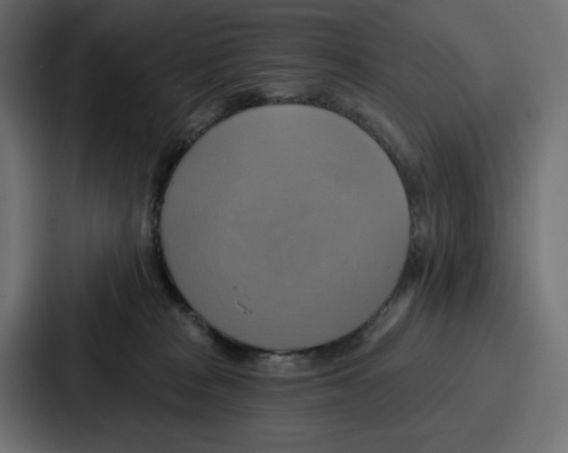 X0000086750277200705111701