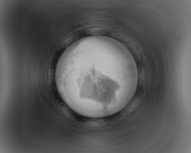 X0000086750278200705111701