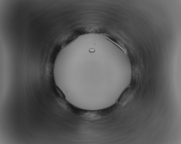 X0000086750280200705111701