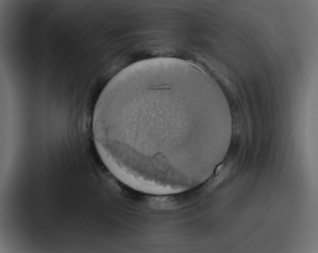 X0000086750281200705111701
