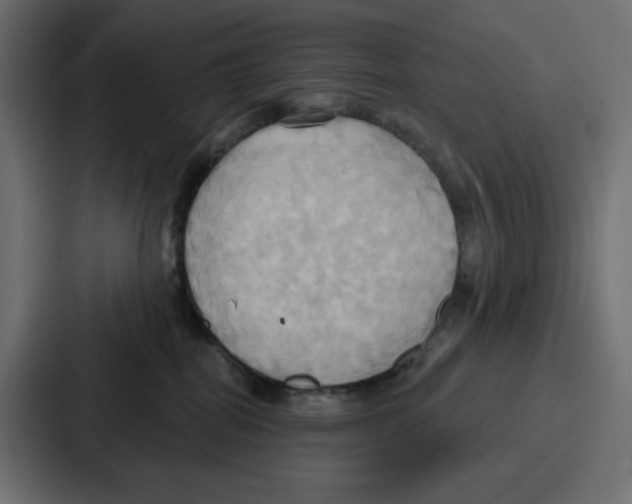 X0000086750282200705111701