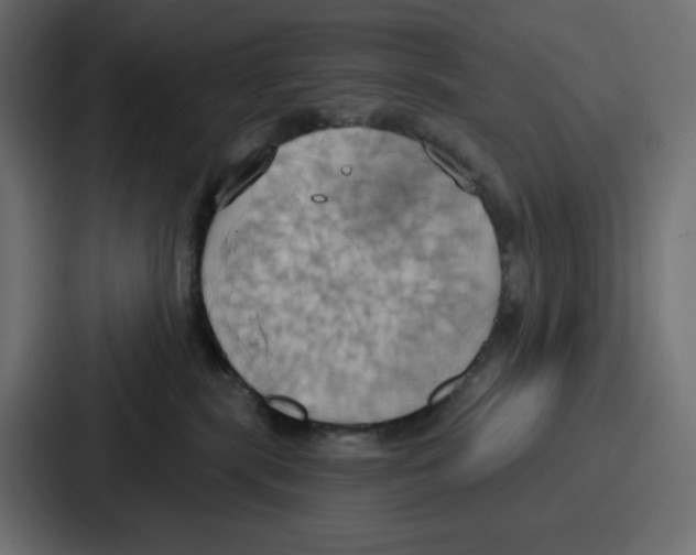 X0000086750283200705111701