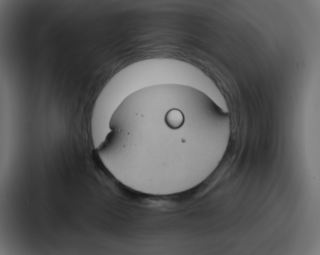 X0000086750284200705111701