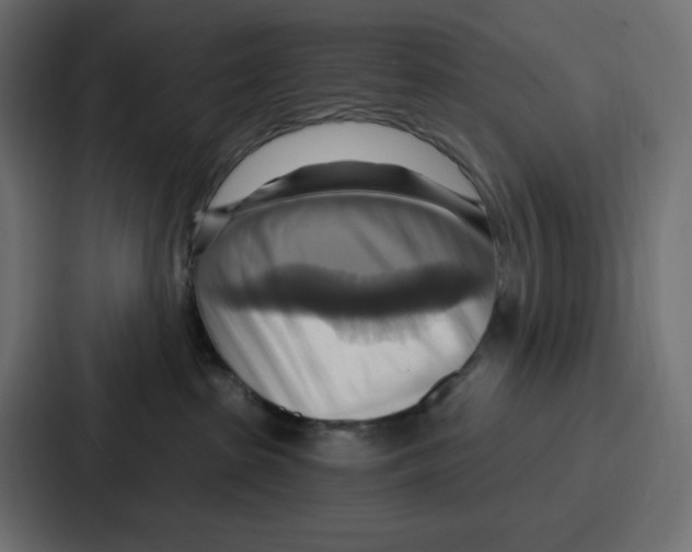 X0000086750285200705111701
