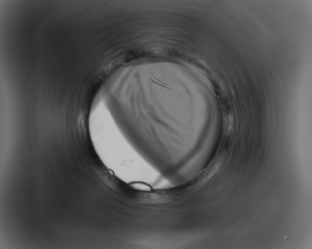 X0000086750286200705111701