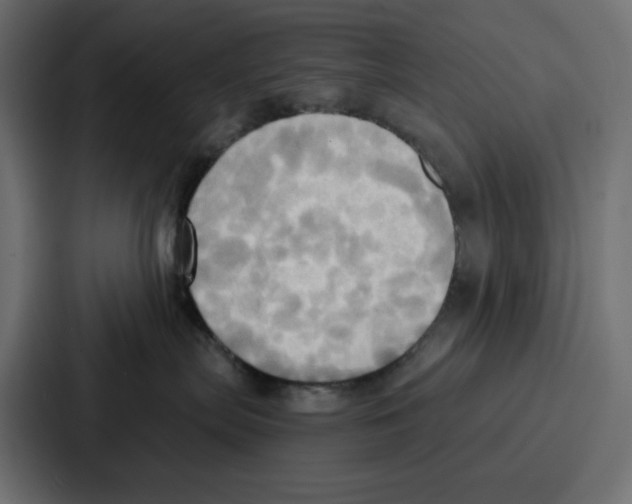 X0000086750287200705111701