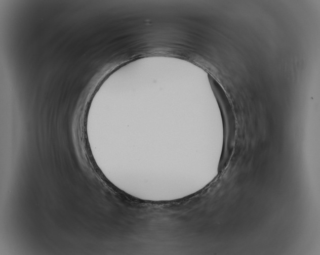 X0000086750289200705111700